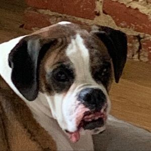 Meet your Posher, Maryn